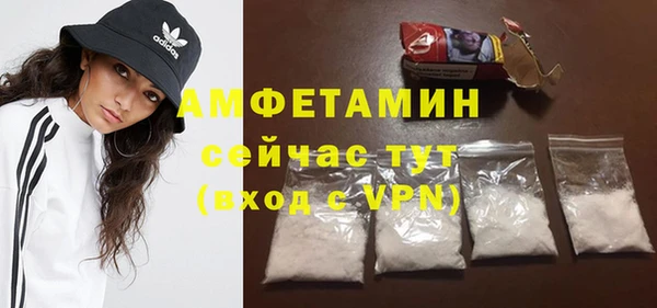 стаф Богданович