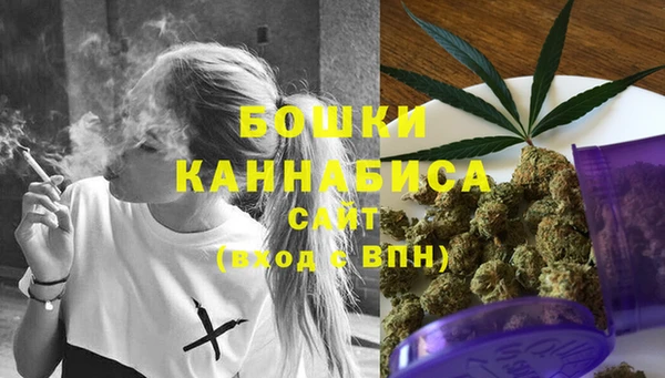 стаф Богданович