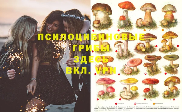 мефедрон Богородицк