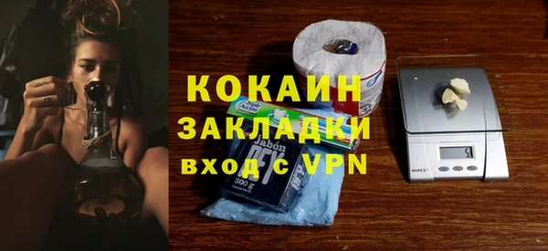 шишки Белоозёрский