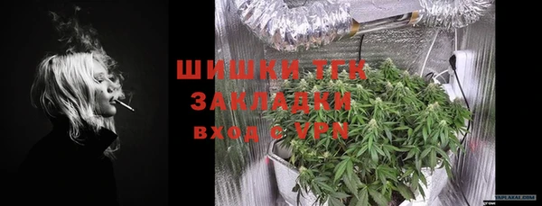 стаф Богданович