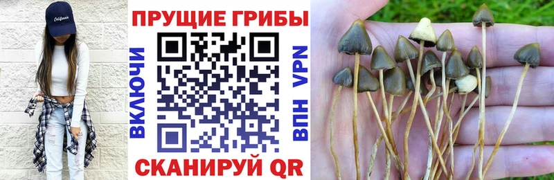 Галлюциногенные грибы ЛСД  Верхняя Пышма 
